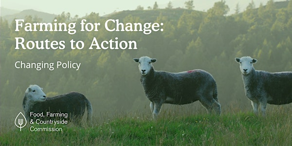 Routes to Action: changing policy