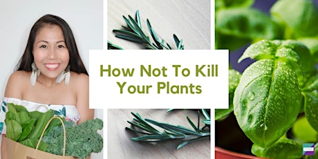 Farm Day Out Workshop: How NOT To Kill Your Plants