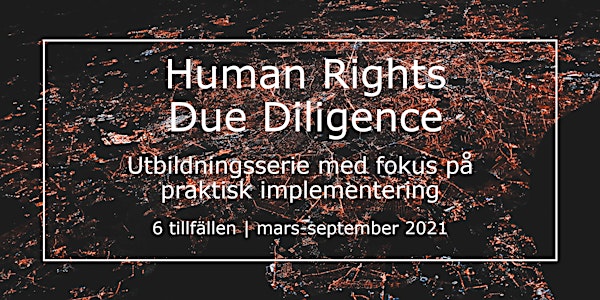 Utbildningsserie: Human rights due diligence