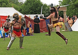Roman Gladiators primary image
