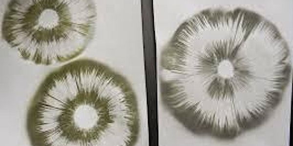 Stenciling with mushroom spore prints