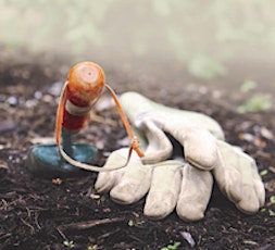 Community Vegetable Gardening primary image