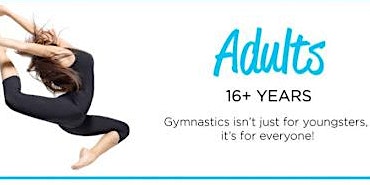 Adults gymnastics