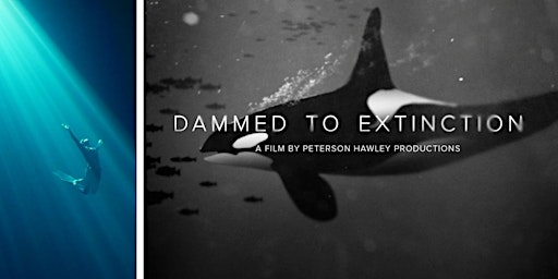 'Dammed to Extinction' + 'Mermaids Against Plastic' Watch Party Recording