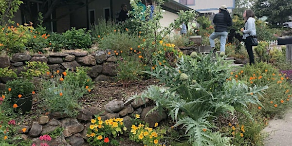 Benicia Garden Tour: Living & Learning Demonstration Food Forest