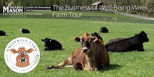 Whitehall Farm Tour - The Business of Well-Being Week