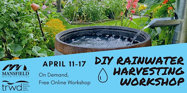 DIY Rainwater Harvesting and Barrel Sale