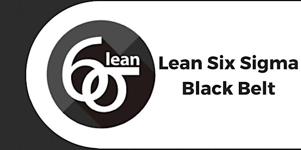 Lean Six Sigma Black Belt Certification Training In Flagstaff, AZ