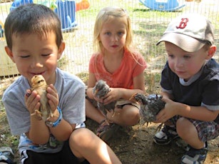 Baby Animal Petting Zoo Returns! primary image