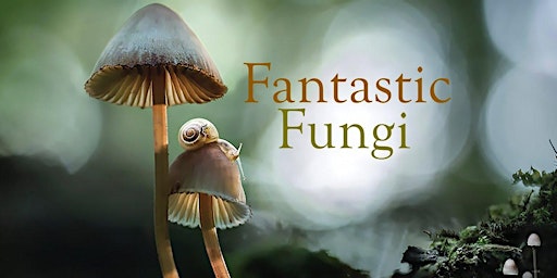 'Fantastic Fungi' Watch Party Recording primary image