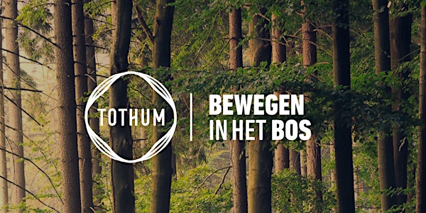 Bewegen in het bos