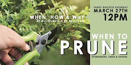 When to Prune primary image
