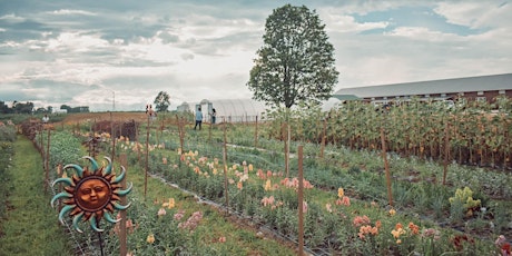 U-pick Flower Patch — Picnic Style  primärbild