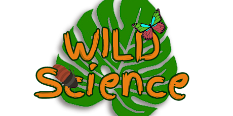 WILD Science: Spiders primary image