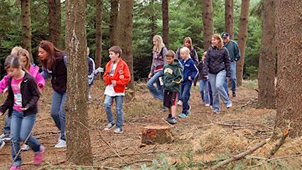 Into the Forest: A Workshop for Teachers to Extend Outdoor School Learning