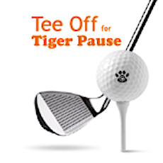 Tee Off for Tiger Pause 2015 primary image