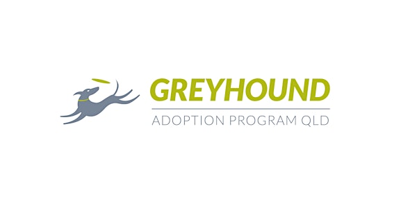 2021 Queensland  Greyhound National Adoption and Open Day