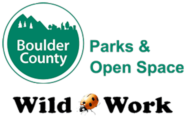 Tuesday Evening Trail Project on July 21