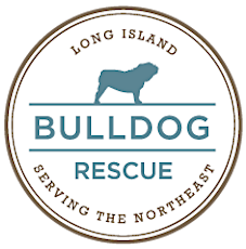 Paint Party to Benefit Long Island Bulldog Rescue primary image