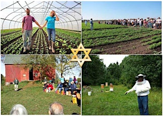 Farm Education Day and Sustainable Food Fest...honoring the Shmita Year primary image