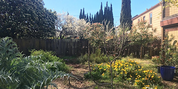 Vallejo Resilient Neighborhood Tour: Morningside Botanical Bounty
