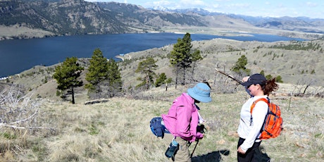 Juniper Bay to Log Gulch Loop Holter--Moderately Easy primary image