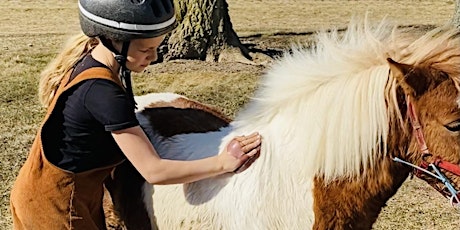 Pony Parties (Basic Pony Care; Hands-On Encounters and Pony Ride)