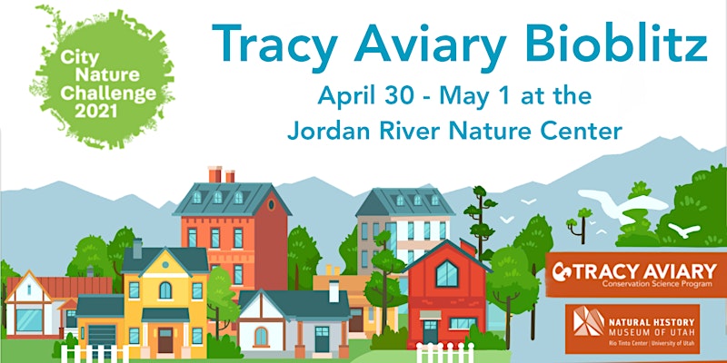 Tracy Aviary CNC banner