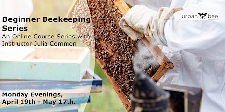 Beginner Beekeeping Series - Online
