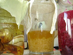 Fermented Health Drinks Workshop primary image