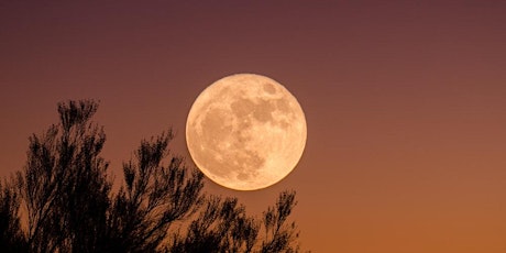 Full Moon in Libra Online Gong Bath Sound Healing & Guided Meditation primary image