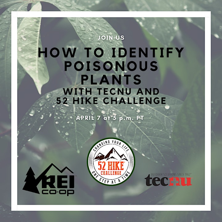 
		How to Identify Poisonous Plants with Tecnu and 52 Hike Challenge image
