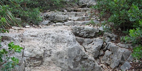 Geology Walk at Friedrich Wilderness Park primary image