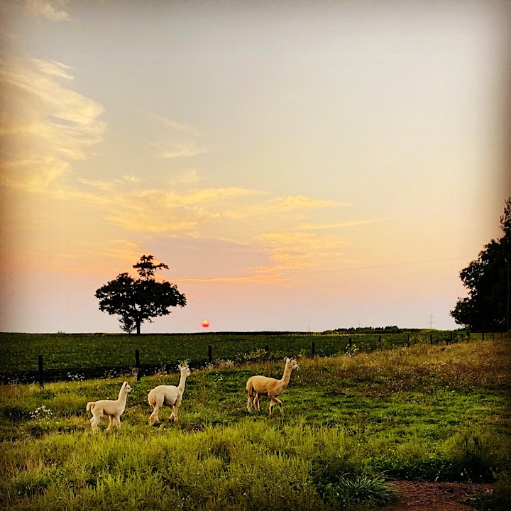 
		Farm Tour  of our Family Homestead - Sustainable, Educational & Inspiring image
