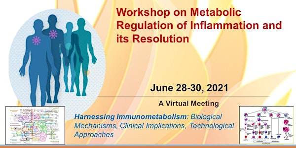 Metabolic Regulation of Inflammation and its Resolution