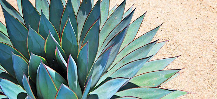 8TH ANNUAL CRAFT AGAVE TEQUILA & MEZCAL TASTING image