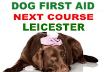Dog First Aid Course primary image