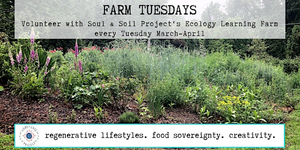VOLUNTEER A.M. | Ecology Learning Farm, nonprofit