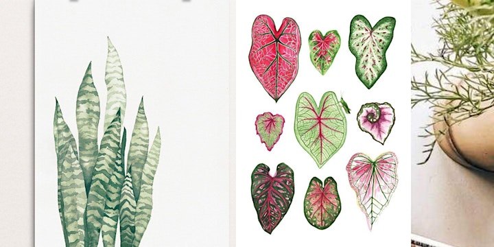 
		[Flaunt Your Leaves] Art Of Botanical Painting - Virtual image
