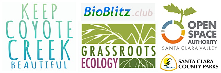 Virtual BioBlitz about Coyote Creek Visitors Center image