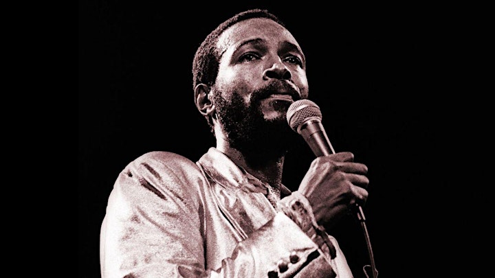 Marvin Gaye "From DC to Detroit" image