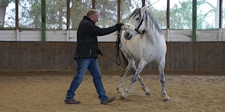 Hauptbild für HORSE bodyforming (Faszientraining in der Bewegung) - Modul 1