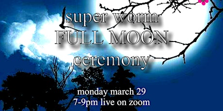 Super Worm Full Moon - Attune to the Moon Clearing & Creation Gathering primary image