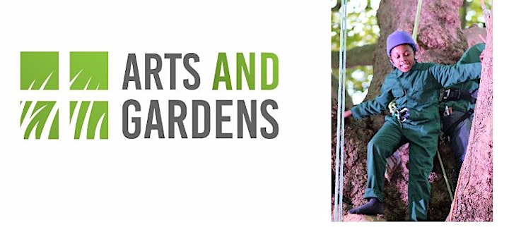 GIANT Tree Climbing Song Sessions - Epping Forest image