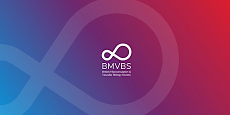 BMVBS Online Series – How to Write a Paper from Scratch: Career Development