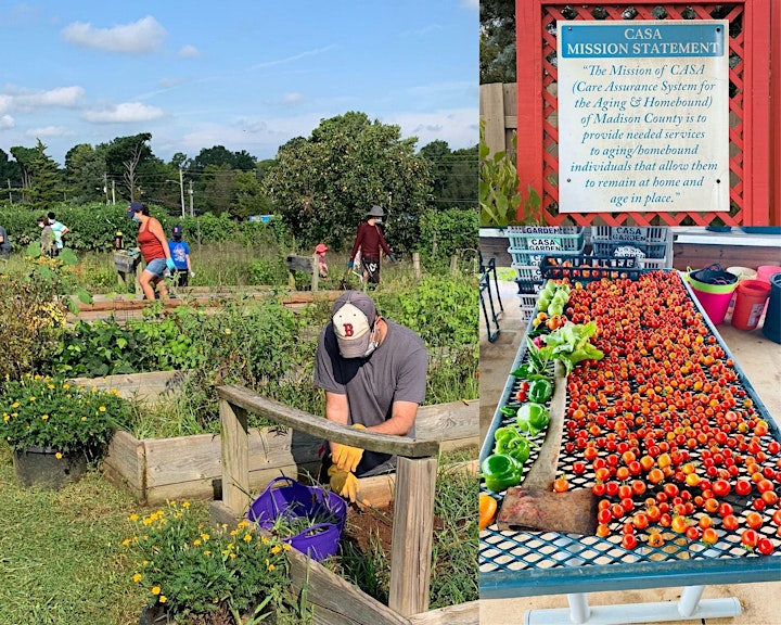 
		Robotic Garden Ribbon Cutting Ceremony image
