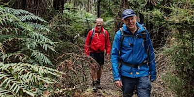 Macedon Sanatorium Eco Trail Park Walk primary image