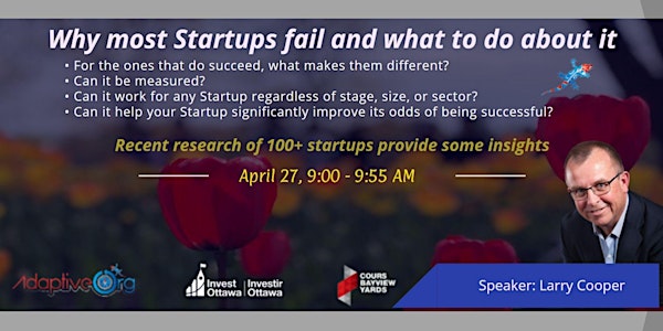 Why most Startups fail and what to do about it
