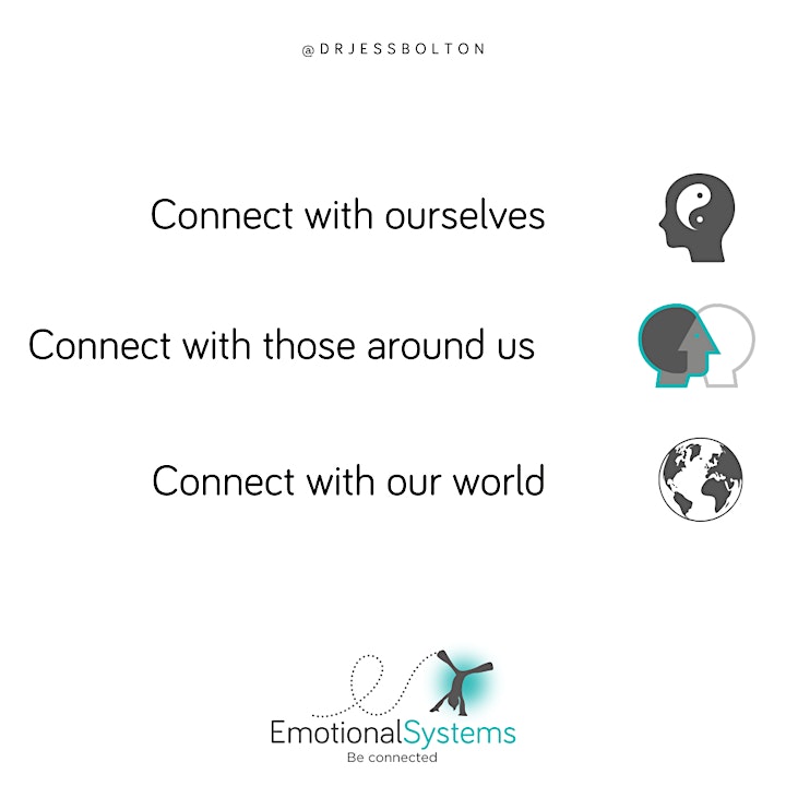 
		Emotional Systems: Building Emotional Capacity - Immersion image
