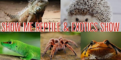 Charlotte Reptile Expo Show Me Reptile & Exotics Show